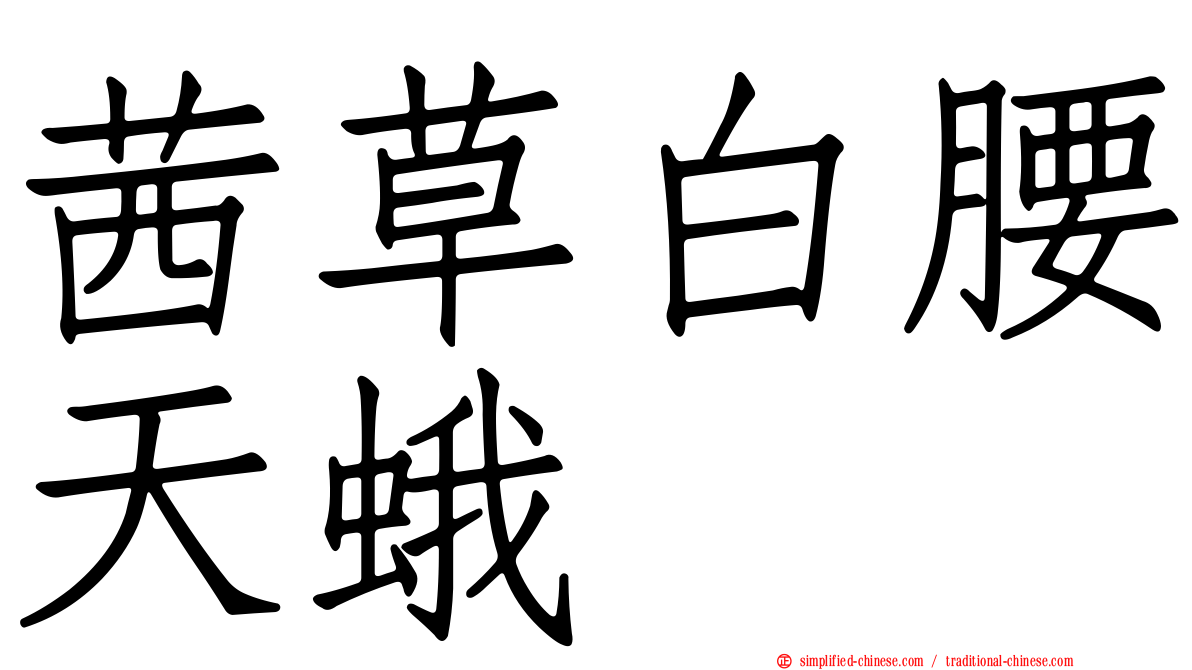 茜草白腰天蛾