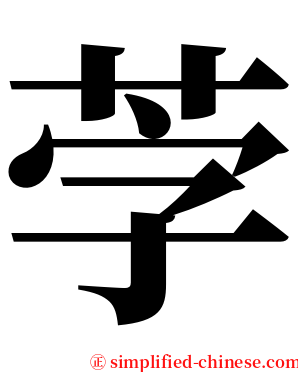 茡 serif font