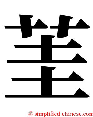 茥 serif font