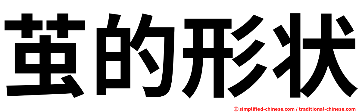 茧的形状