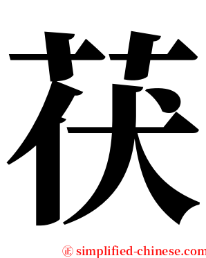 茯 serif font