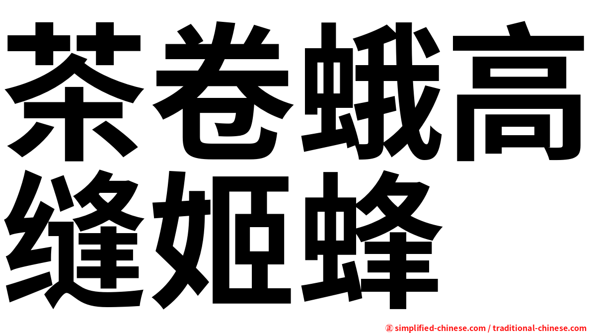 茶卷蛾高缝姬蜂
