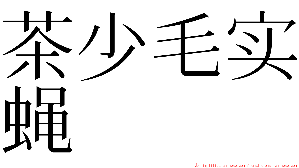 茶少毛实蝇 ming font