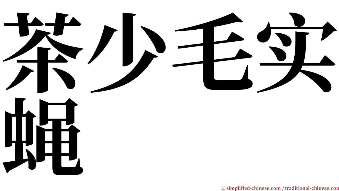 茶少毛实蝇 serif font