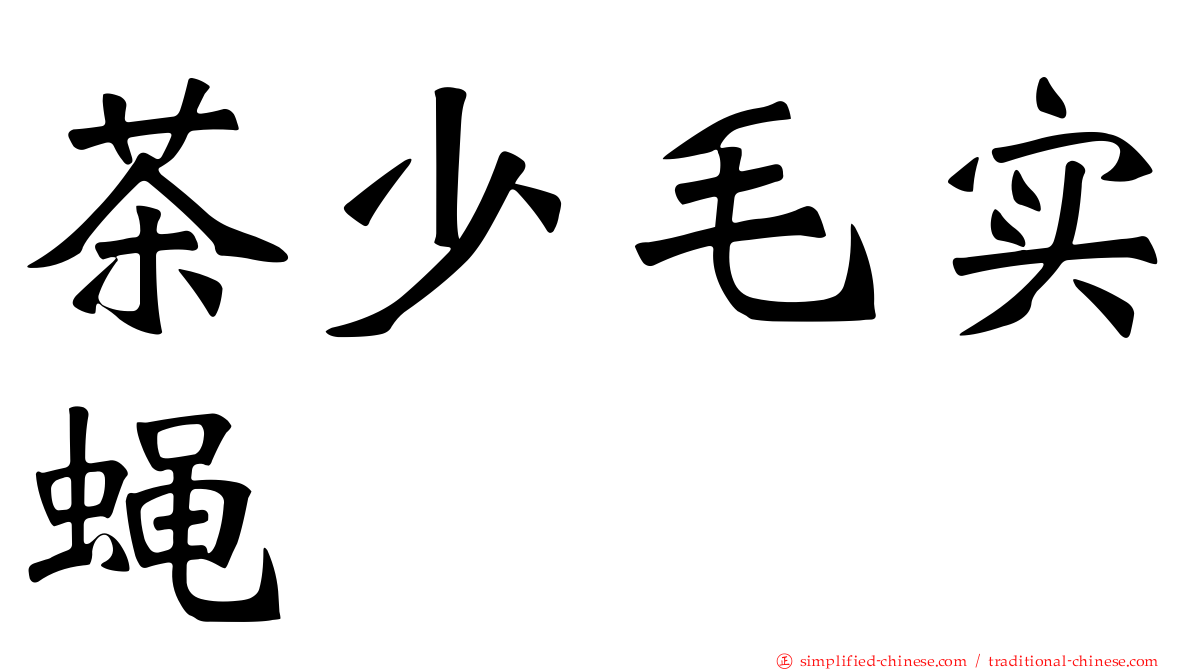 茶少毛实蝇