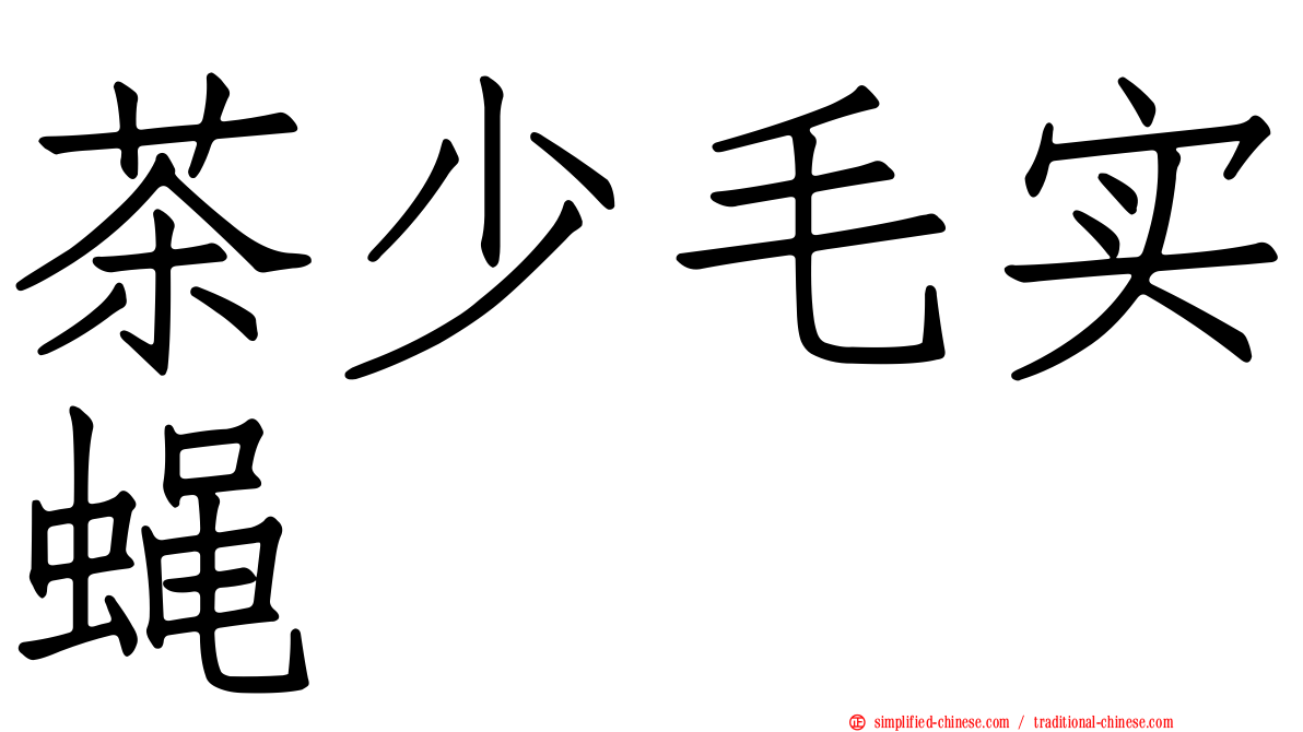茶少毛实蝇