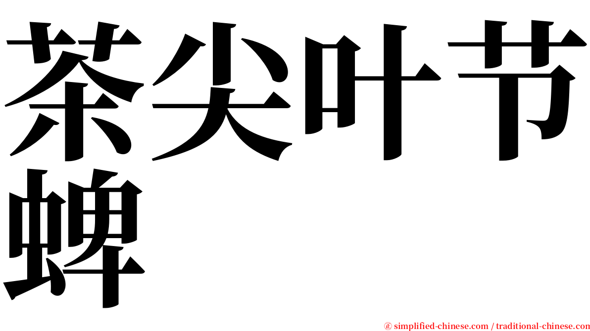 茶尖叶节蜱 serif font
