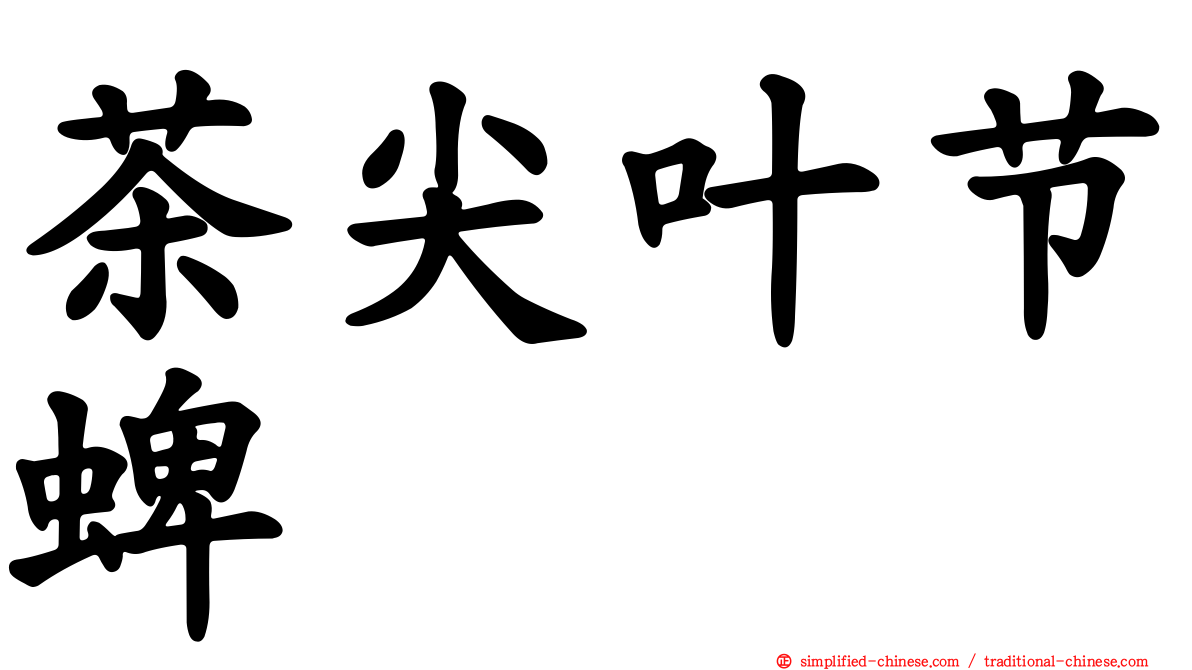 茶尖叶节蜱