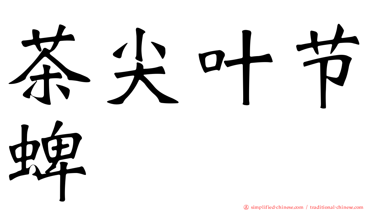 茶尖叶节蜱