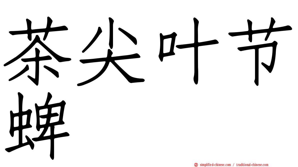 茶尖叶节蜱