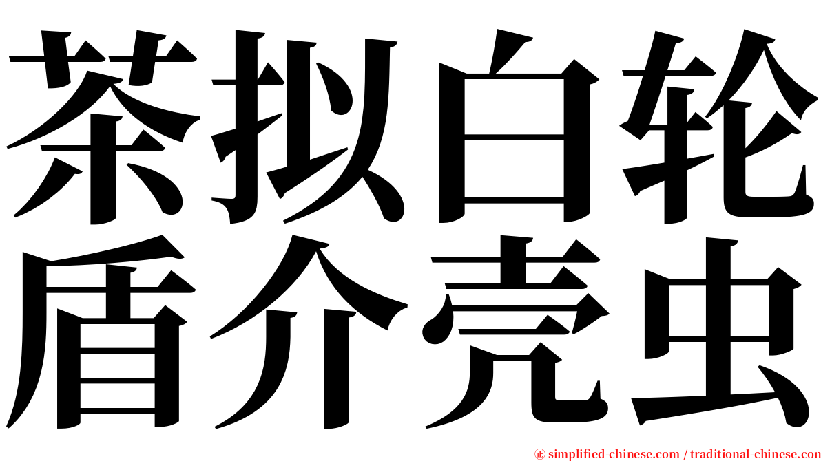 茶拟白轮盾介壳虫 serif font