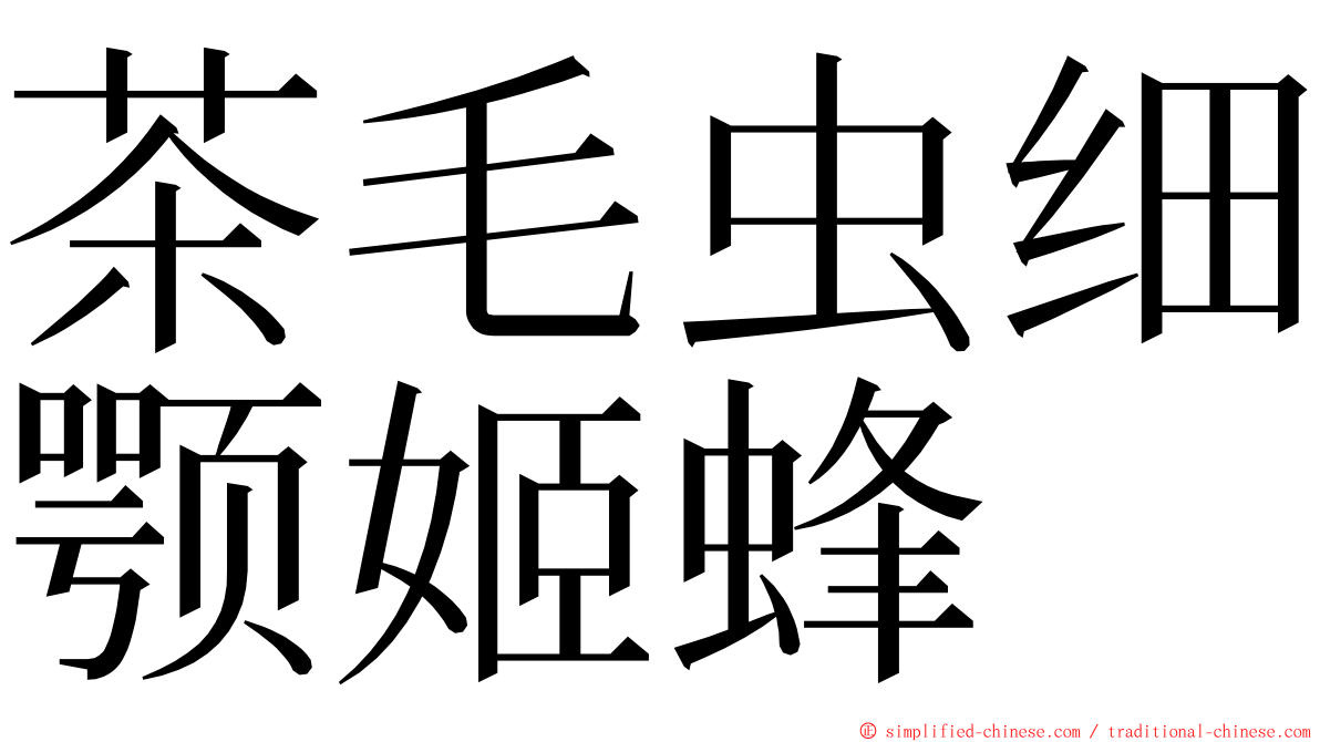 茶毛虫细颚姬蜂 ming font