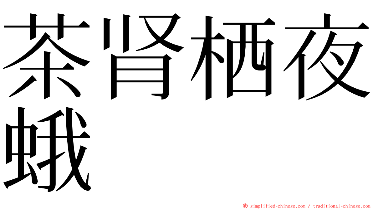 茶肾栖夜蛾 ming font