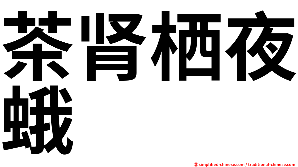 茶肾栖夜蛾