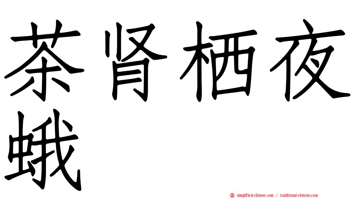 茶肾栖夜蛾