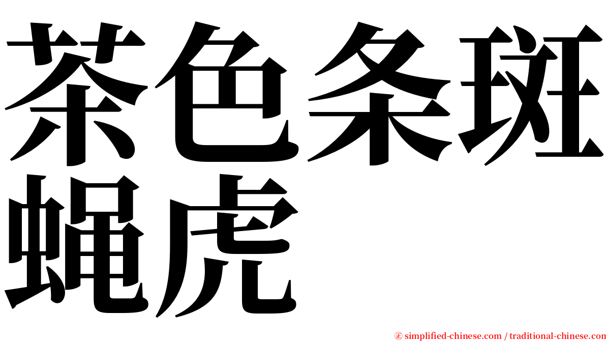 茶色条斑蝇虎 serif font