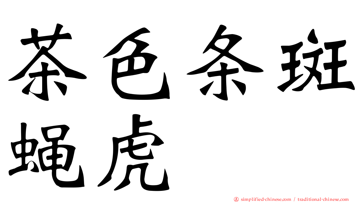 茶色条斑蝇虎