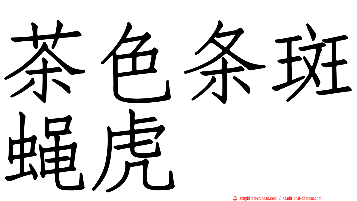 茶色条斑蝇虎