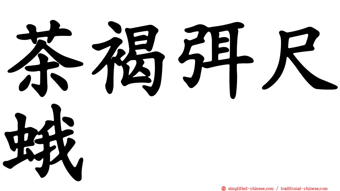 茶褐弭尺蛾