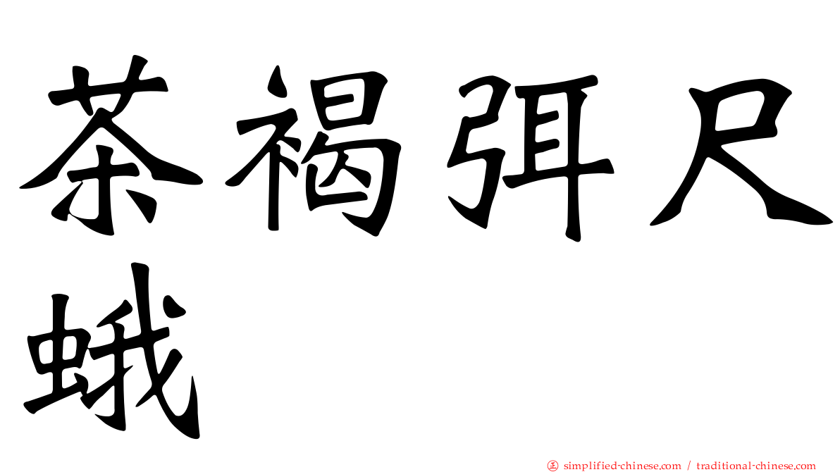茶褐弭尺蛾