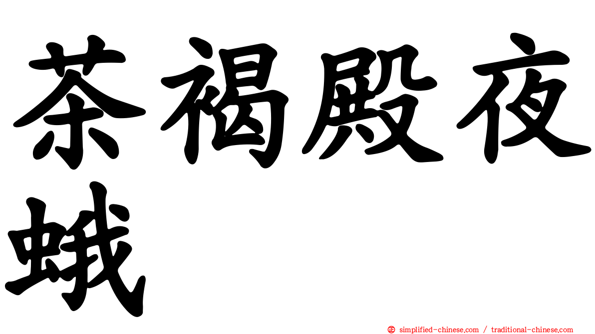 茶褐殿夜蛾