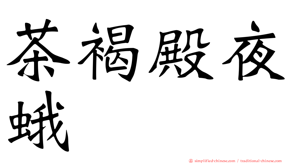 茶褐殿夜蛾
