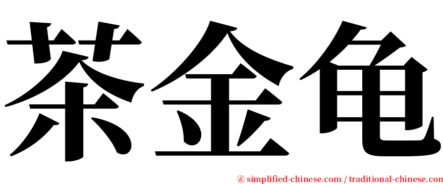茶金龟 serif font