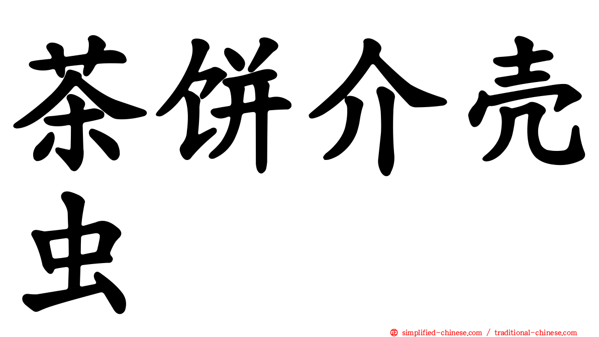 茶饼介壳虫