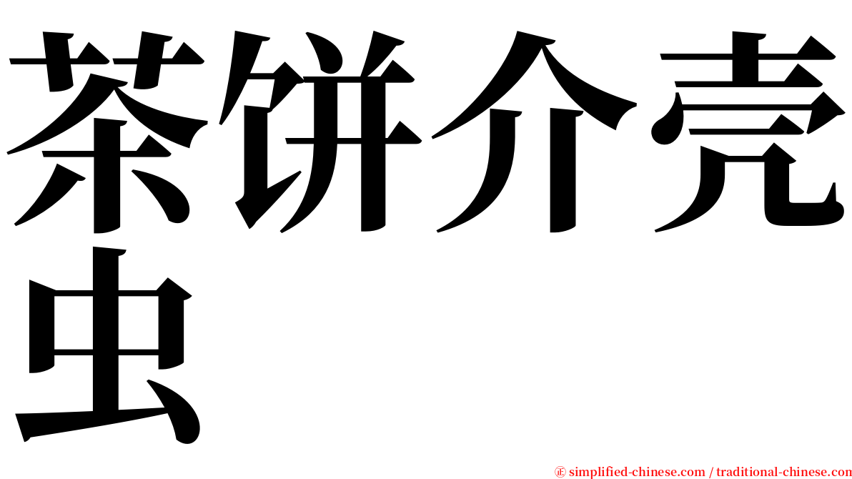 茶饼介壳虫 serif font
