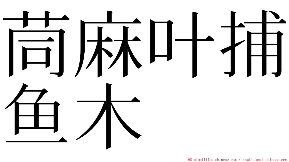 茼麻叶捕鱼木 ming font