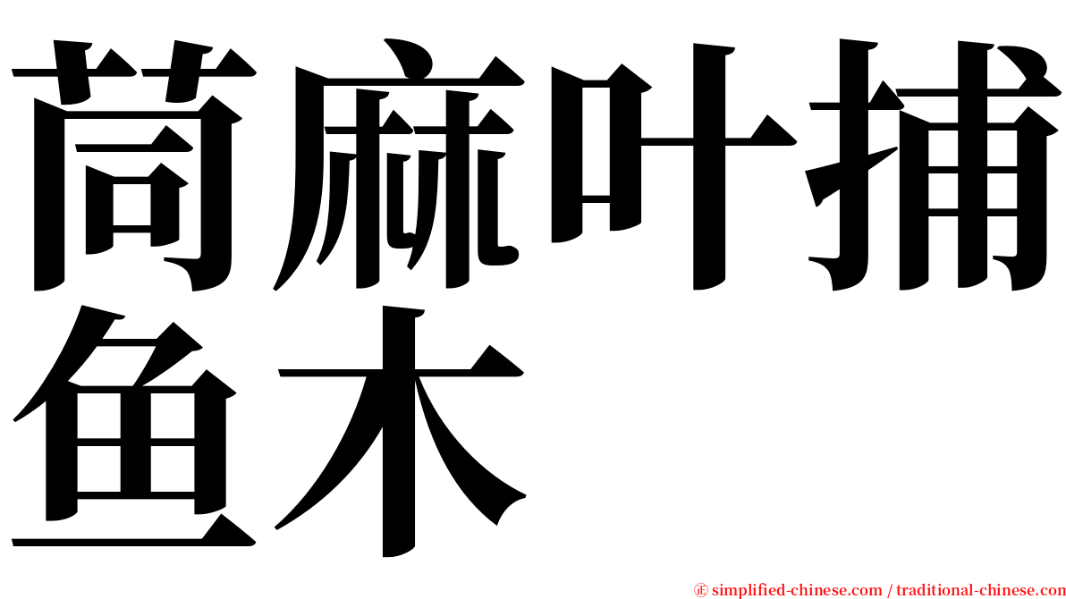 茼麻叶捕鱼木 serif font