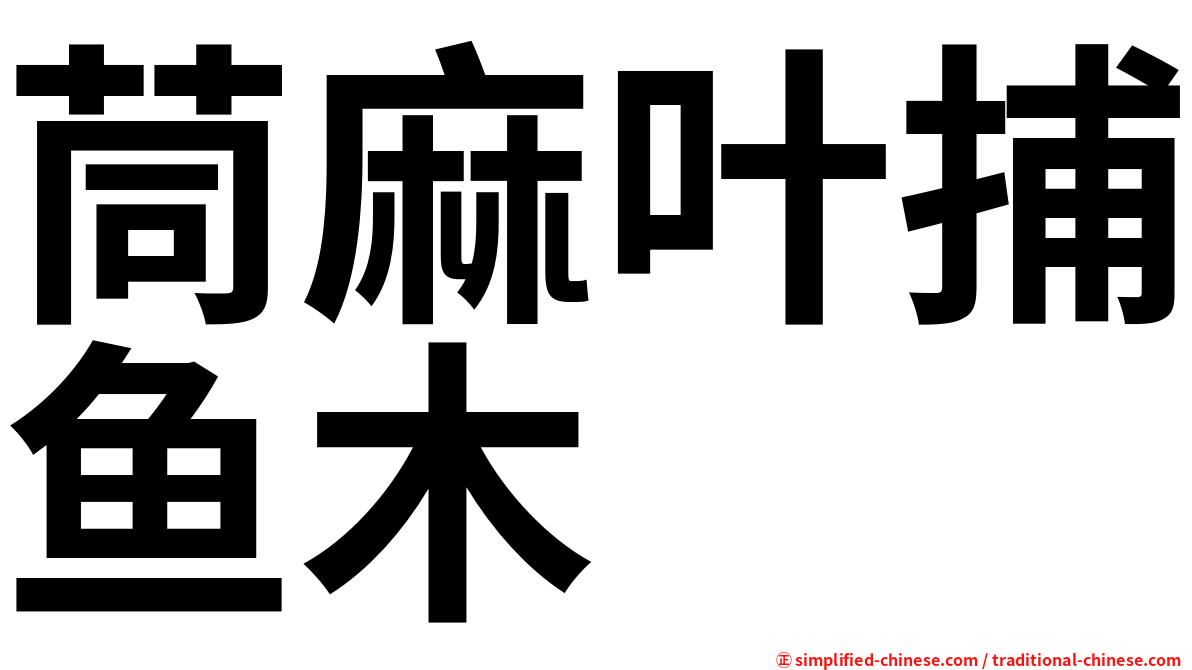茼麻叶捕鱼木