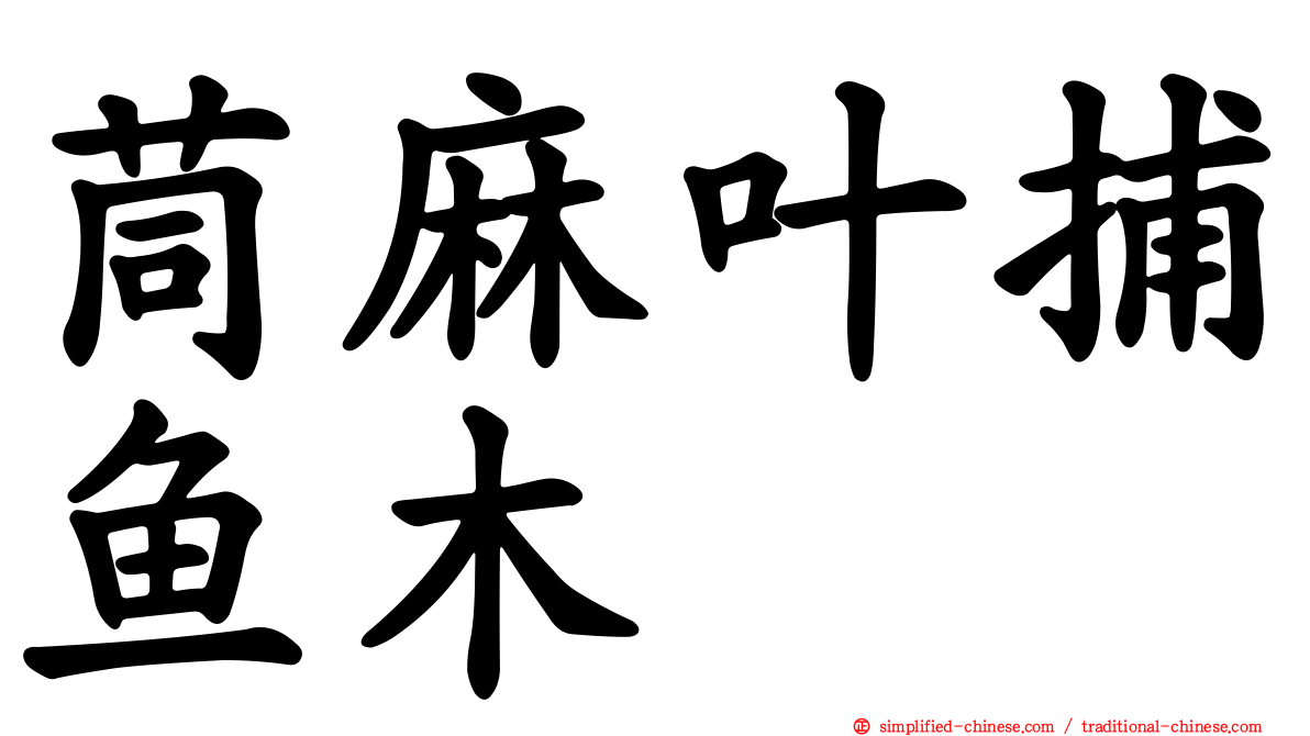 茼麻叶捕鱼木
