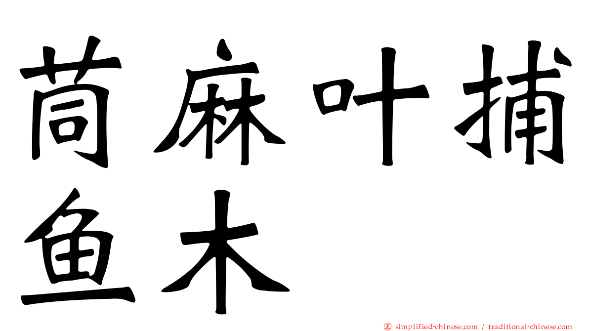 茼麻叶捕鱼木