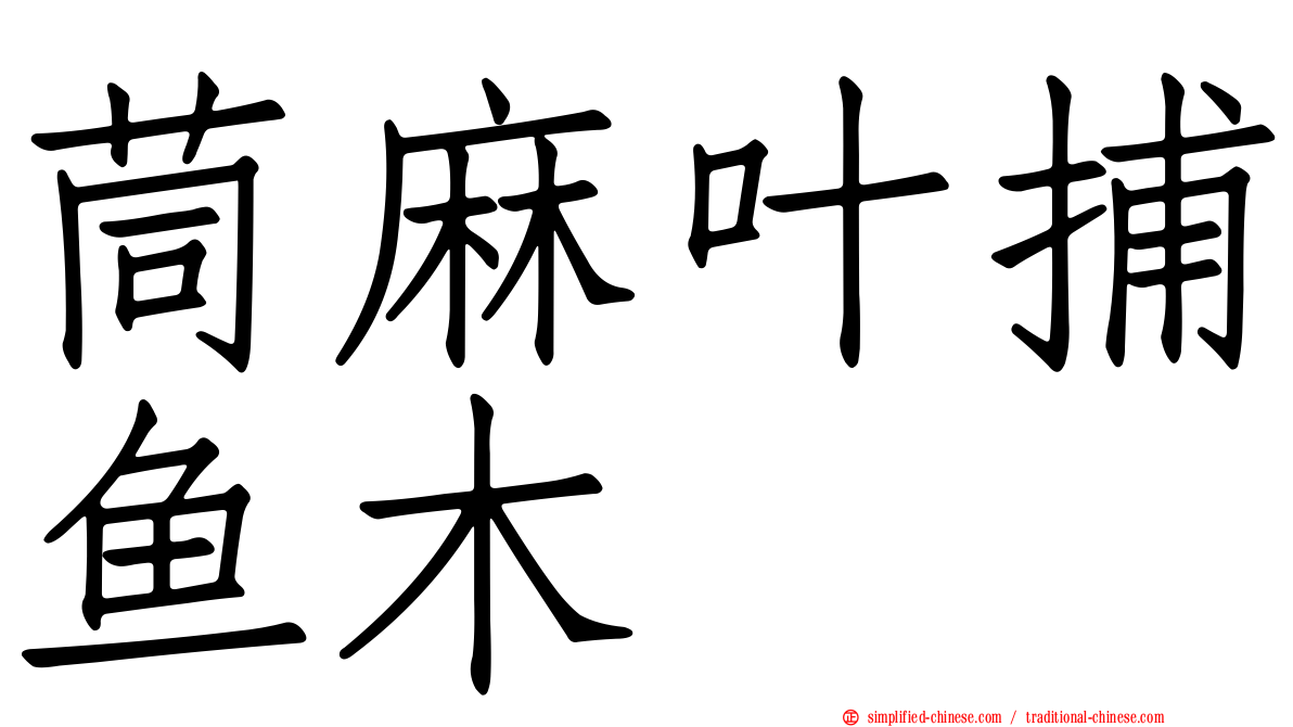 茼麻叶捕鱼木