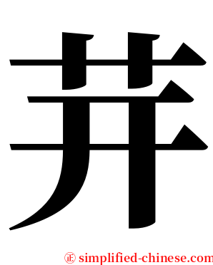 茾 serif font