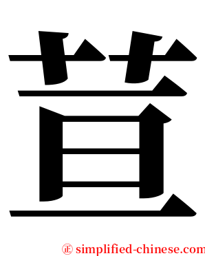 荁 serif font