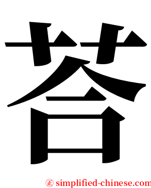 荅 serif font