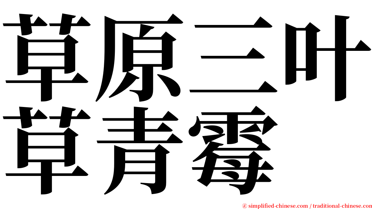 草原三叶草青霉 serif font