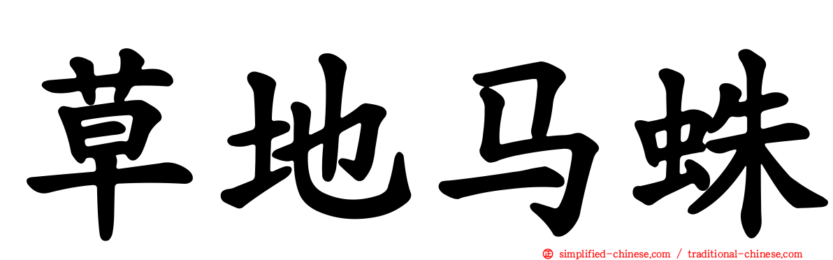 草地马蛛