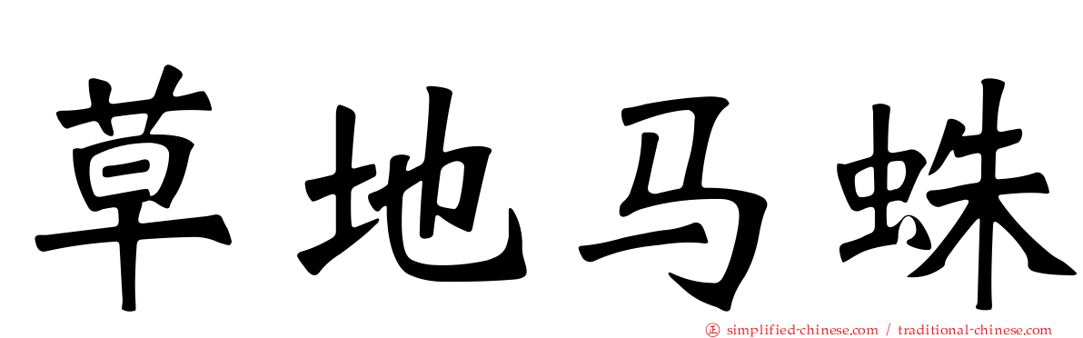 草地马蛛