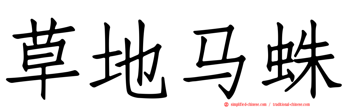 草地马蛛