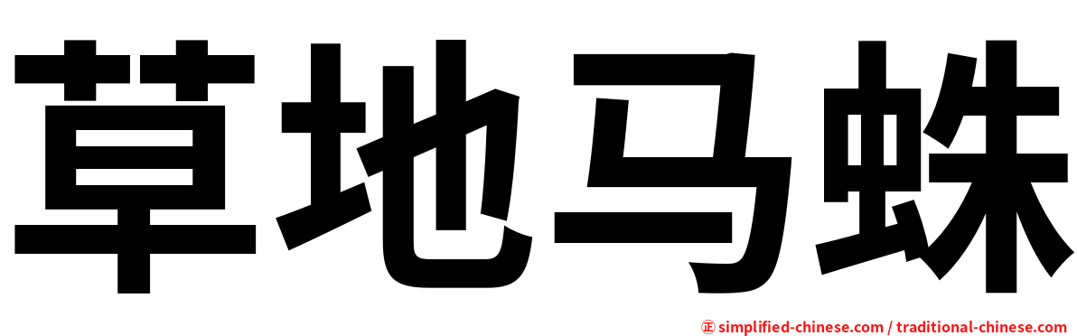 草地马蛛