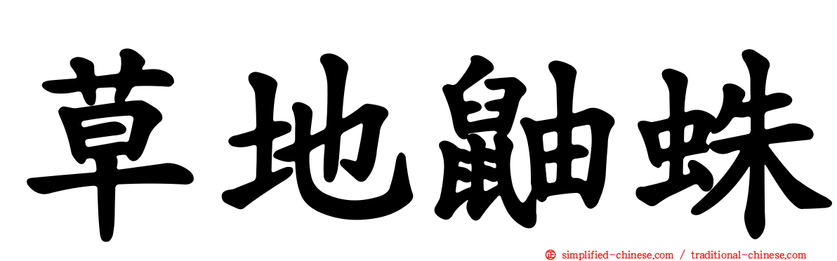 草地鼬蛛