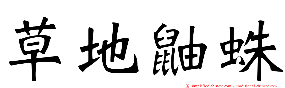 草地鼬蛛