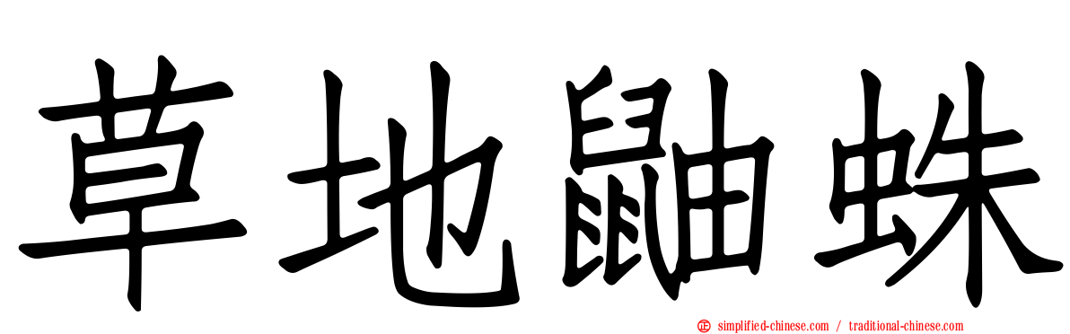 草地鼬蛛