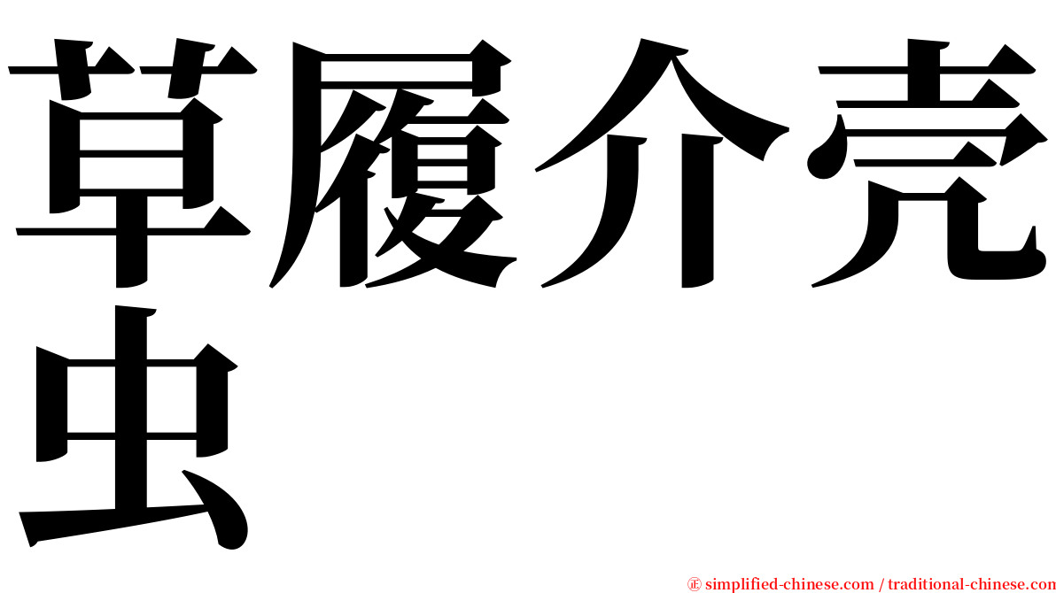 草履介壳虫 serif font