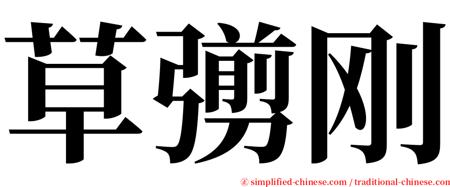 草彅刚 serif font
