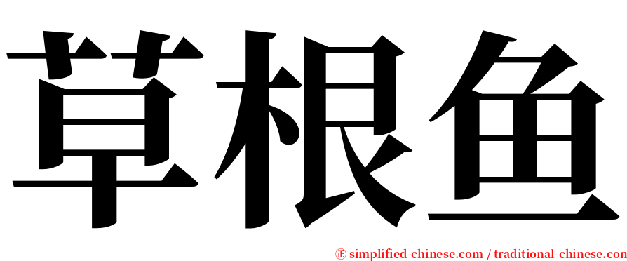 草根鱼 serif font
