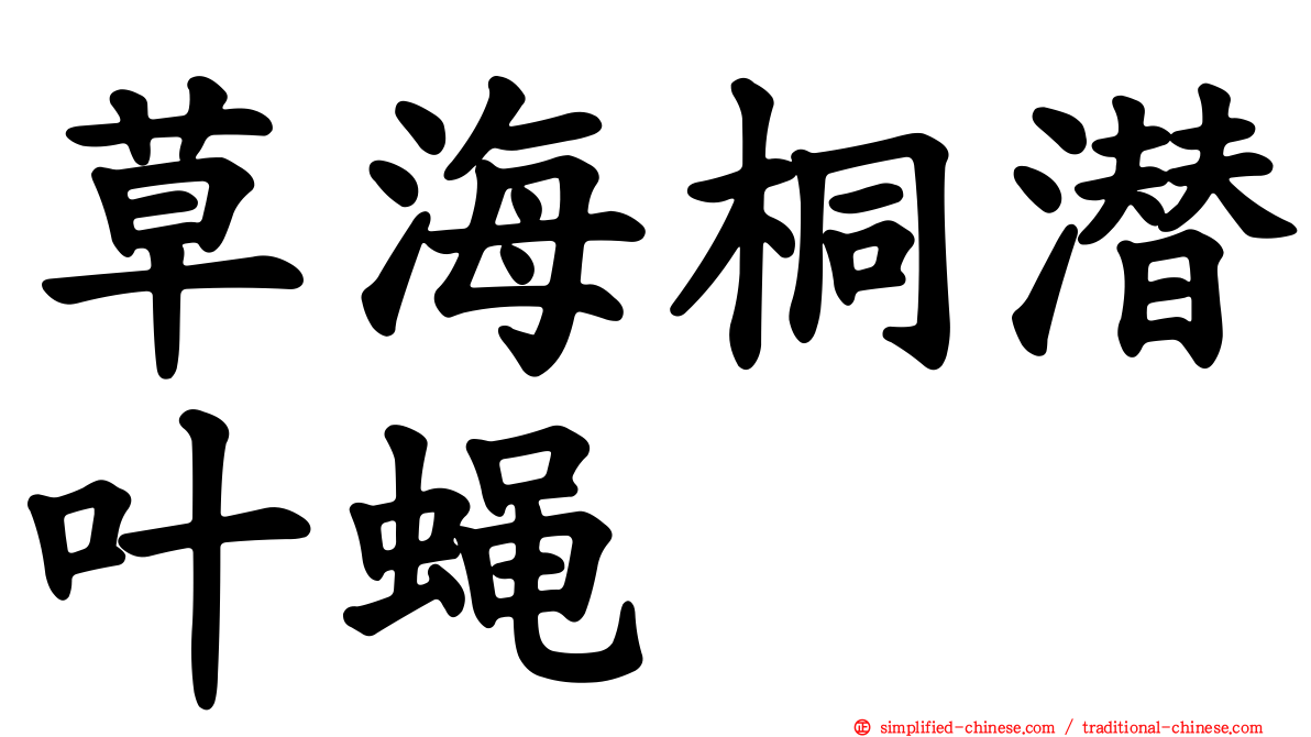 草海桐潜叶蝇